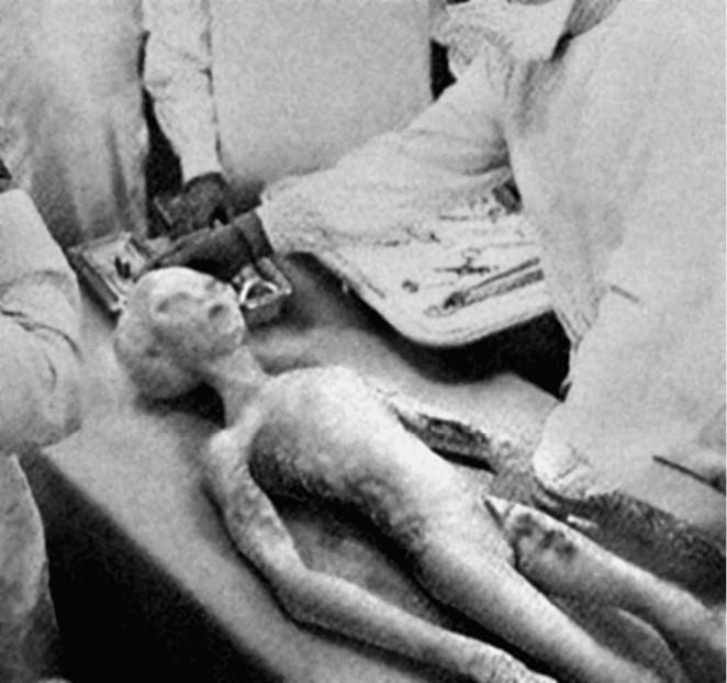 Иллюстрация к книге — 100 великих загадок современности [i_078.jpg]