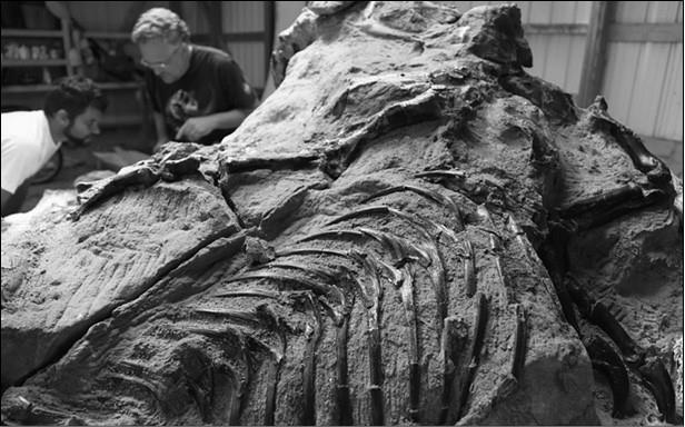 Иллюстрация к книге — 100 великих заблуждений [i_044.jpg]