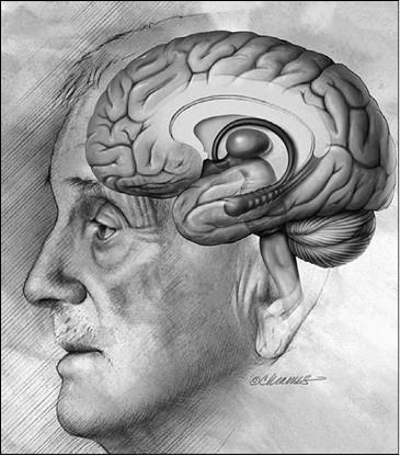 Иллюстрация к книге — 100 великих заблуждений [i_050.jpg]