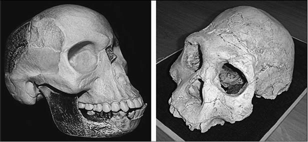 Иллюстрация к книге — 100 великих заблуждений [i_051.jpg]