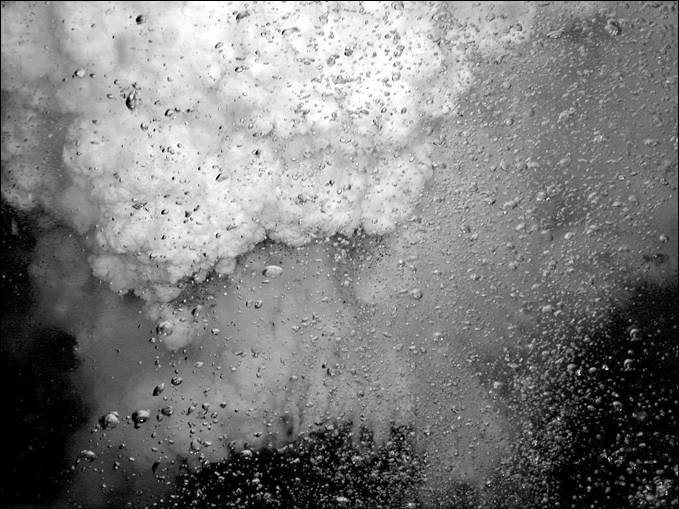 Иллюстрация к книге — 100 великих тайн океана [_29.jpg]