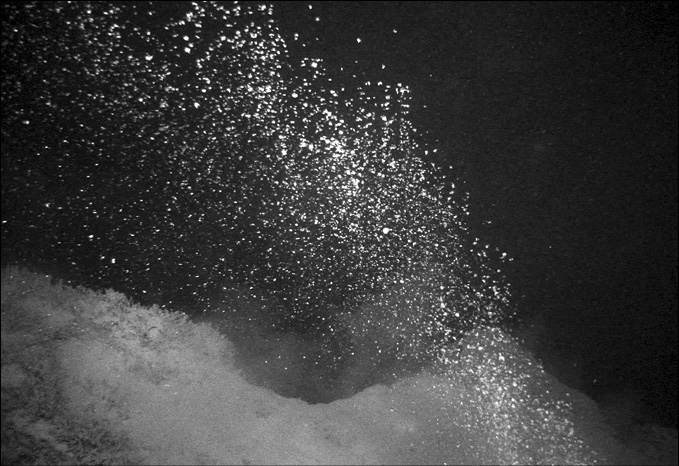 Иллюстрация к книге — 100 великих тайн океана [_30.jpg]