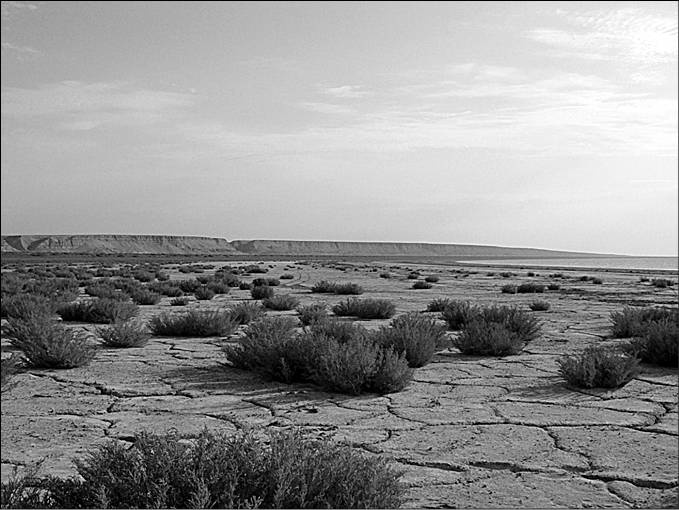 Иллюстрация к книге — 100 великих тайн океана [_36.jpg]