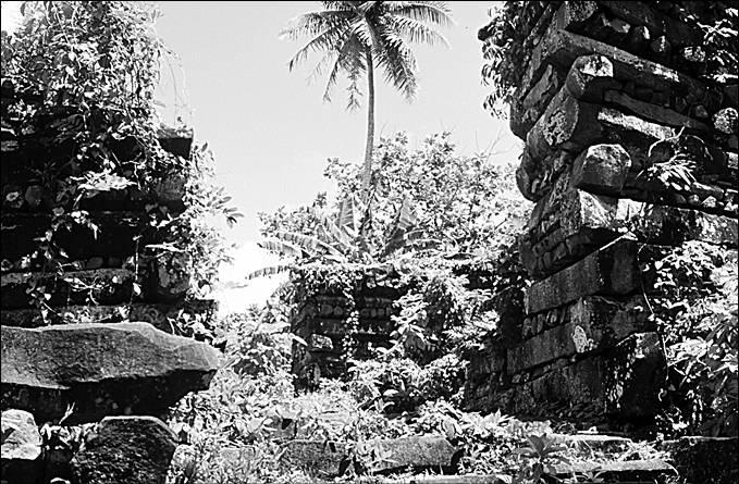 Иллюстрация к книге — 100 великих тайн океана [_42.jpg]