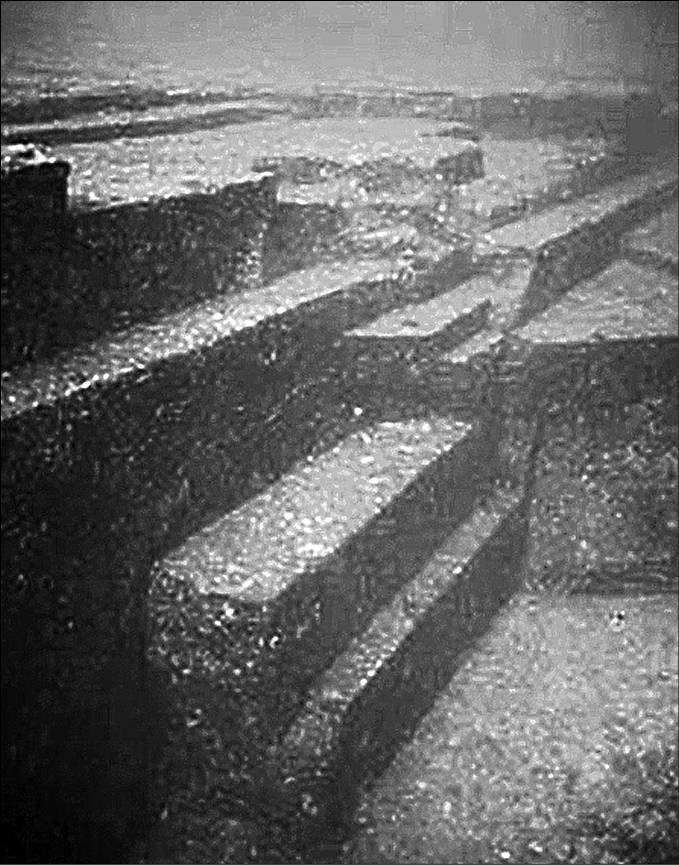 Иллюстрация к книге — 100 великих тайн океана [_45.jpg]