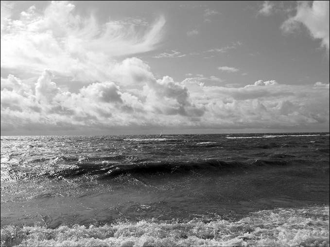 Иллюстрация к книге — 100 великих тайн океана [_6.jpg]