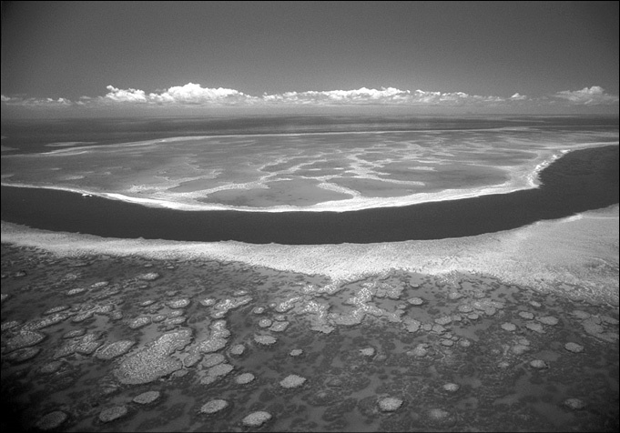 Иллюстрация к книге — 100 великих тайн океана [_66.jpg]