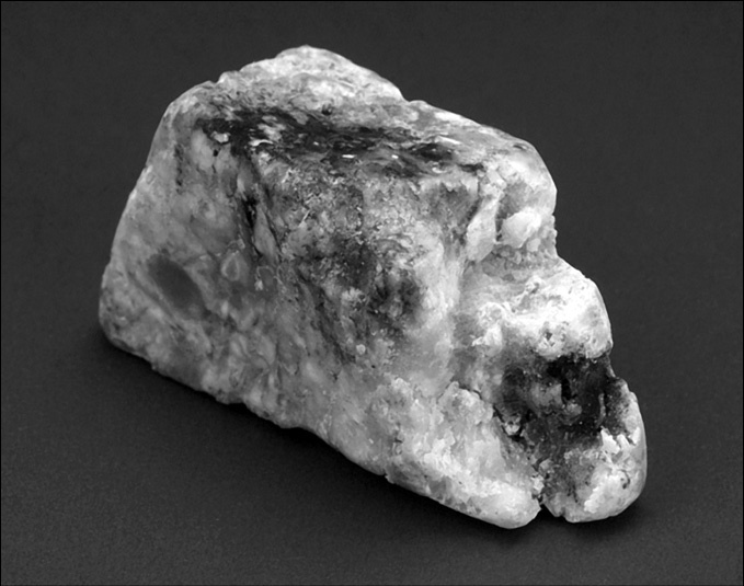 Иллюстрация к книге — 100 великих тайн океана [_70.jpg]