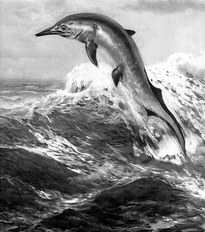 Иллюстрация к книге — 100 великих тайн океана [_74.jpg]