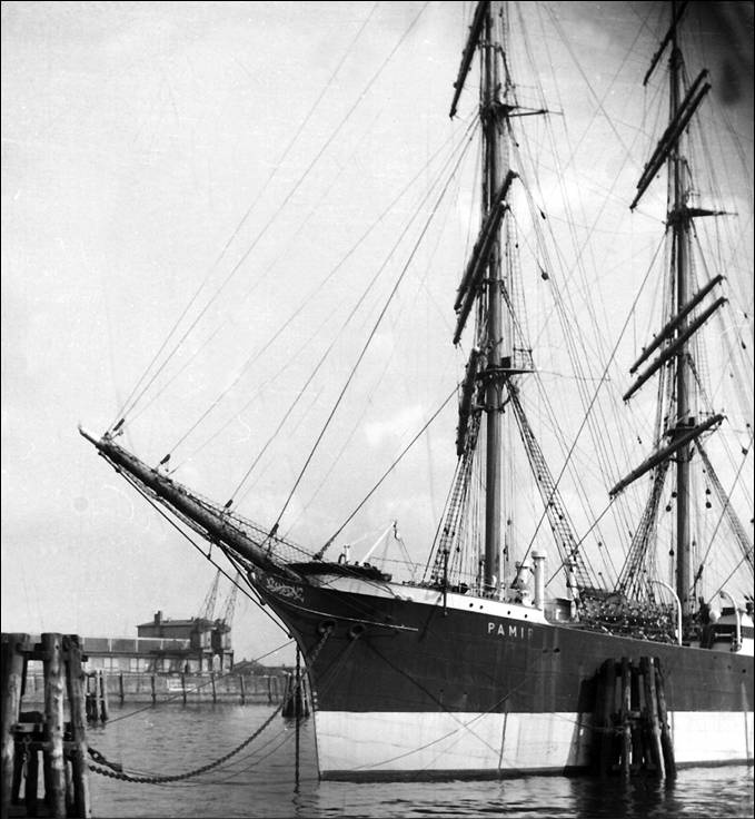 Иллюстрация к книге — 100 великих тайн океана [_82.jpg]