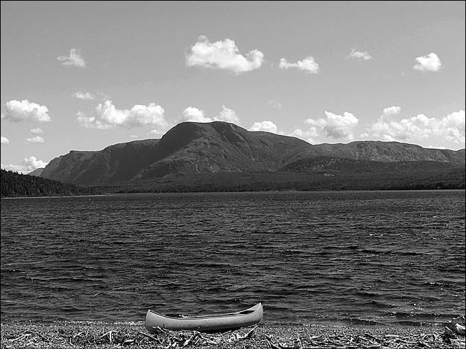 Иллюстрация к книге — 100 великих тайн океана [_84.jpg]