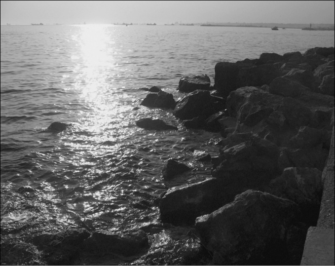 Иллюстрация к книге — 100 великих тайн океана [_86.jpg]