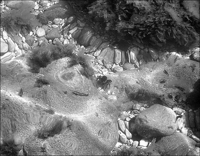 Иллюстрация к книге — 100 великих тайн океана [_87.jpg]