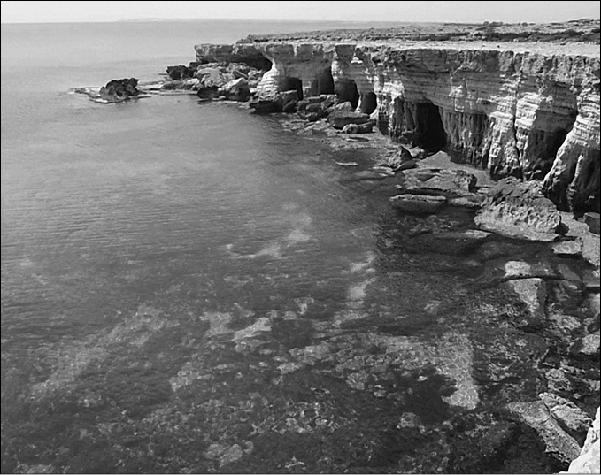 Иллюстрация к книге — 100 великих тайн океана [_89.jpg]