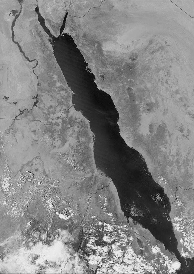 Иллюстрация к книге — 100 великих тайн океана [_90.jpg]