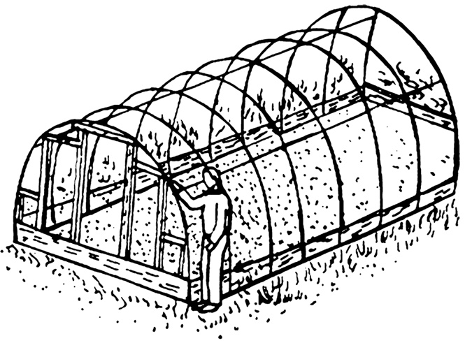 Иллюстрация к книге — Секреты раннего урожая. Все о парниках, теплицах и подготовке семян [i_013.jpg]