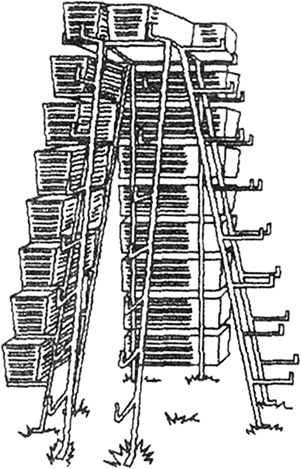 Иллюстрация к книге — Секреты раннего урожая. Все о парниках, теплицах и подготовке семян [i_028.jpg]