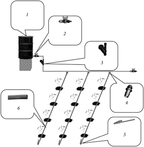 Иллюстрация к книге — Секреты раннего урожая. Все о парниках, теплицах и подготовке семян [i_033.jpg]