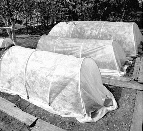 Иллюстрация к книге — Секреты раннего урожая. Все о парниках, теплицах и подготовке семян [i_055.jpg]