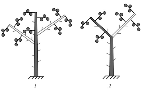 Иллюстрация к книге — Секреты раннего урожая. Все о парниках, теплицах и подготовке семян [i_099.jpg]