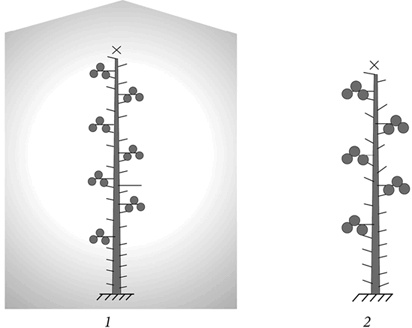 Иллюстрация к книге — Секреты раннего урожая. Все о парниках, теплицах и подготовке семян [i_101.jpg]