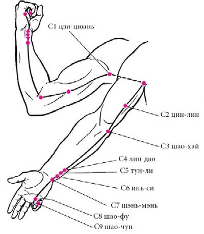Иллюстрация к книге — Целительные точки нашего тела [_18.jpg]