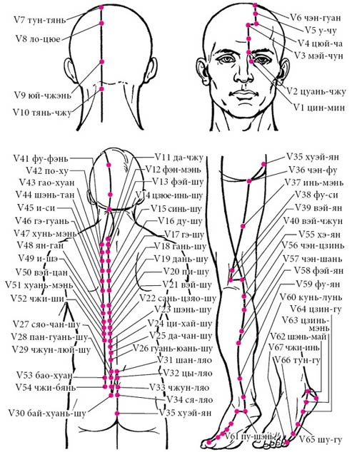 Иллюстрация к книге — Целительные точки нашего тела [_20.jpg]