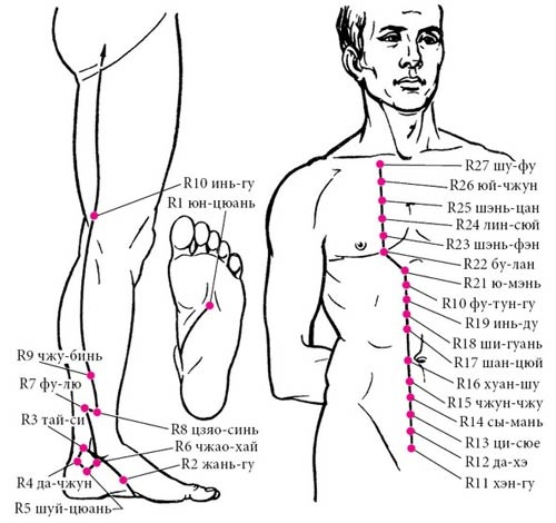 Иллюстрация к книге — Целительные точки нашего тела [_21.jpg]