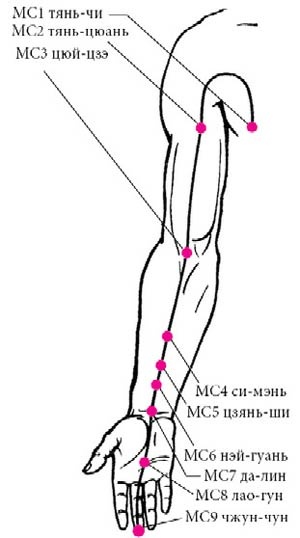 Иллюстрация к книге — Целительные точки нашего тела [_22.jpg]