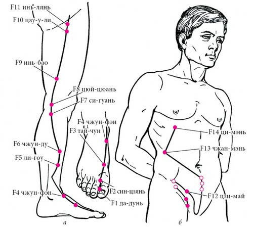 Иллюстрация к книге — Целительные точки нашего тела [_25.jpg]