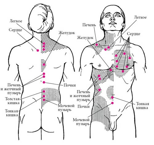 Иллюстрация к книге — Целительные точки нашего тела [_36.jpg]