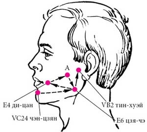 Иллюстрация к книге — Целительные точки нашего тела [_42.jpg]