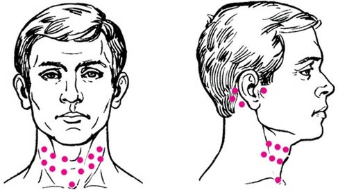 Иллюстрация к книге — Целительные точки нашего тела [_44.jpg]