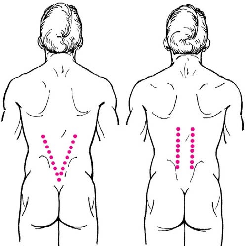 Иллюстрация к книге — Целительные точки нашего тела [_61.jpg]