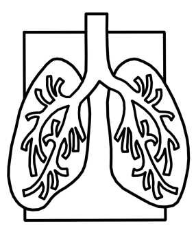 Иллюстрация к книге — Парадоксальное дыхание для начинающих [i_001.jpg]
