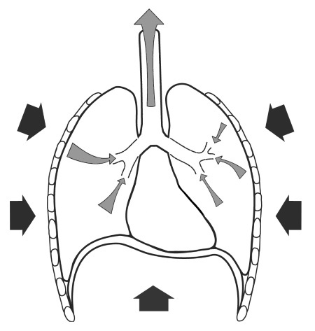 Иллюстрация к книге — Парадоксальное дыхание для начинающих [i_005.jpg]