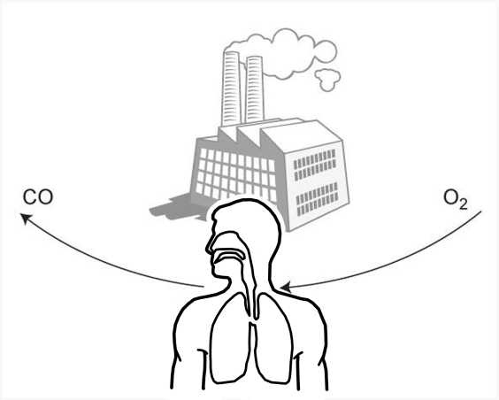 Иллюстрация к книге — Парадоксальное дыхание для начинающих [i_016.jpg]