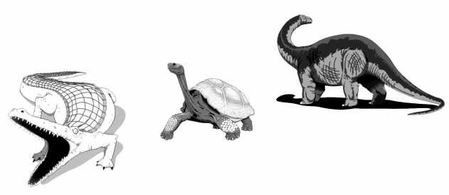 Иллюстрация к книге — Парадоксальное дыхание для начинающих [i_020.jpg]