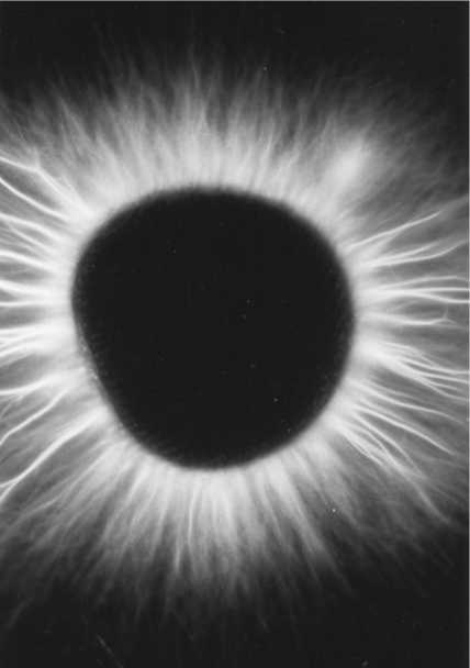 Иллюстрация к книге — Парадоксальное дыхание для начинающих [i_030.jpg]