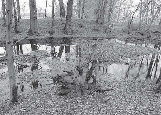 Иллюстрация к книге — Места силы на карте мира [i_040.jpg]