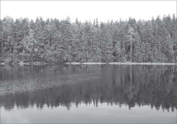 Иллюстрация к книге — Места силы на карте мира [i_046.jpg]