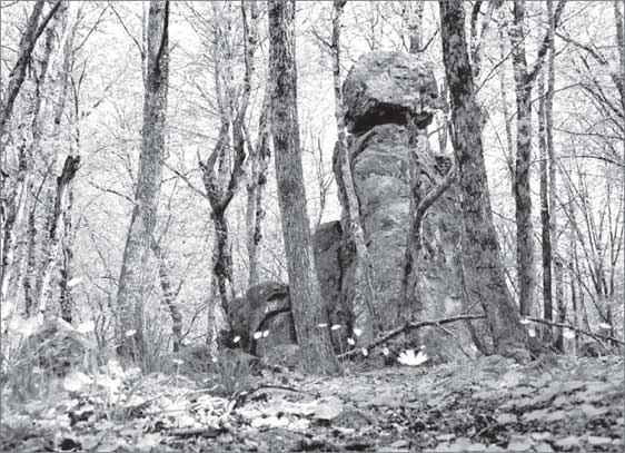 Иллюстрация к книге — Места силы на карте мира [i_047.jpg]