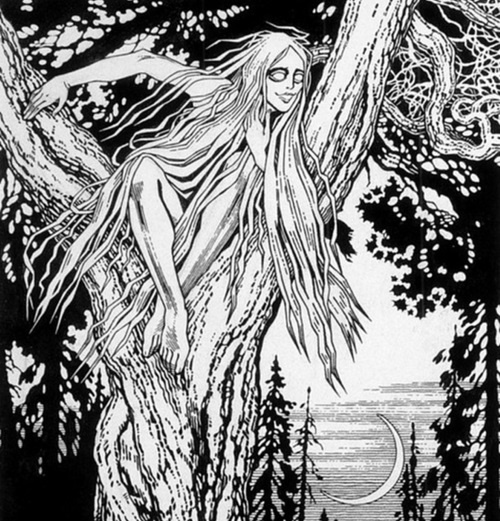 Иллюстрация к книге — Привидения русских усадеб. И не только… [i_001.jpg]