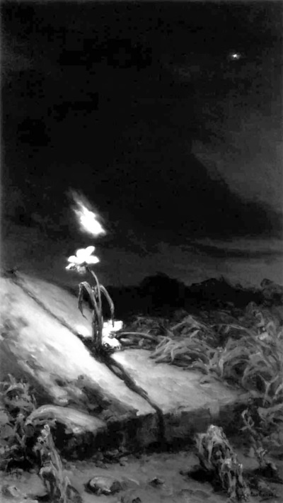 Иллюстрация к книге — Привидения русских усадеб. И не только… [i_069.jpg]