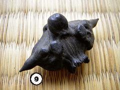 Иллюстрация к книге — История леса. Взгляд из Германии [i_009.jpg]