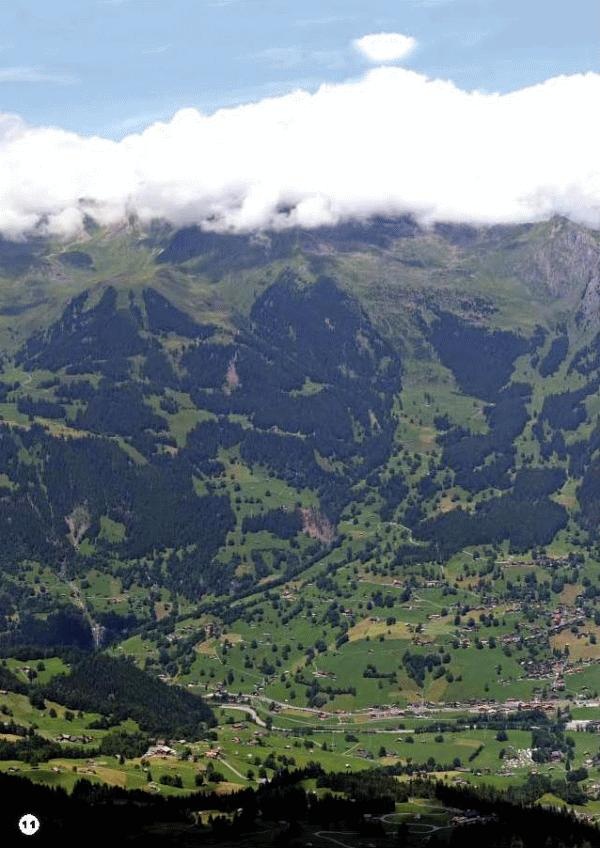 Иллюстрация к книге — История леса. Взгляд из Германии [i_011.jpg]