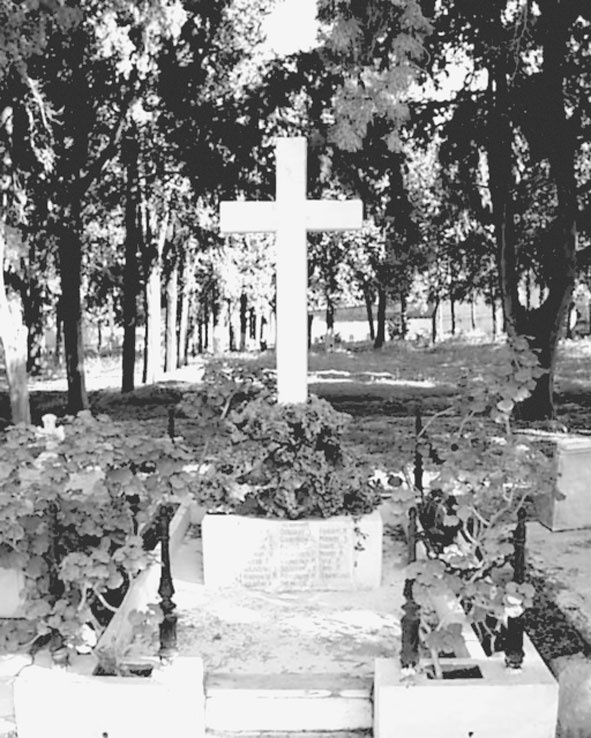 Иллюстрация к книге — Изгнанная армия. Полвека военной эмиграции. 1920-1970 гг. [i_032.jpg]