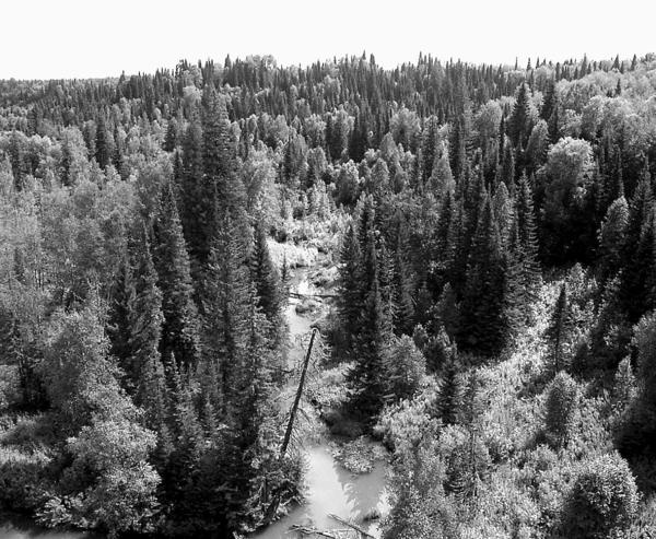 Иллюстрация к книге — 100 великих тайн Земли [_20.jpg]