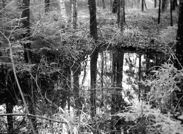 Иллюстрация к книге — 100 великих тайн Земли [_21.jpg]