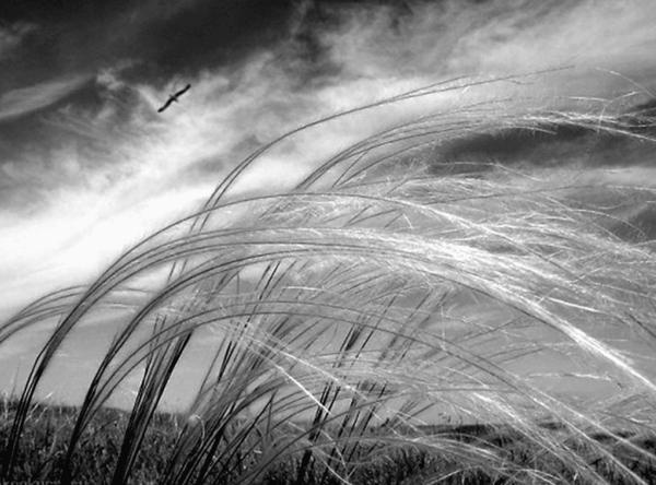 Иллюстрация к книге — 100 великих тайн Земли [_22.jpg]